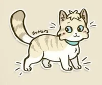 Cats butters 