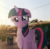 Twilight sparkle