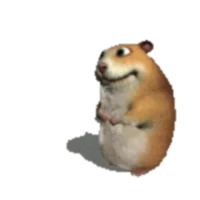 Normalny Chomik