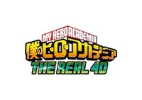 MHA 4D 