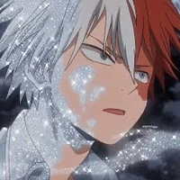 Todoroki shoto 