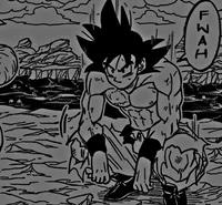Son Goku