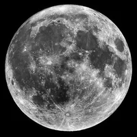 1 - BOT REQUEST FORM