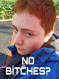 No BITCHES