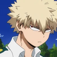 Katsuki bakugou 