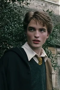 Cedric diggory 