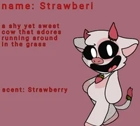 Strawberi the cow