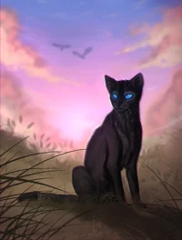 Crowfeather