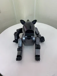 Odie the aibo 