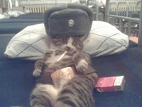 Agent Strelnikov cat