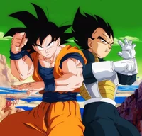 Goku and Vegeta