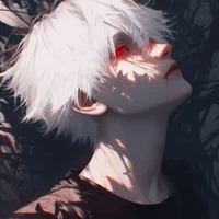 VN Aiden