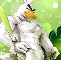 Kixote the Sirfetchd