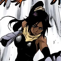 Yoruichi Shihoin