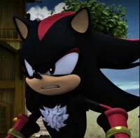 Shadow The Hedgehog