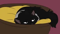 Shota Aizawa