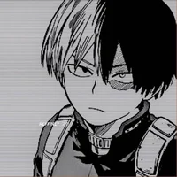Shoto todoroki 