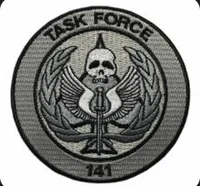 Taskforce 141