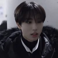 Han Jisung