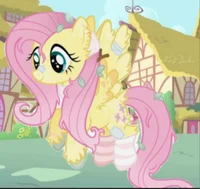 Fluttershy 