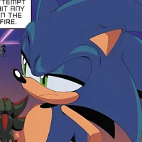 Sonic the hedhehog 