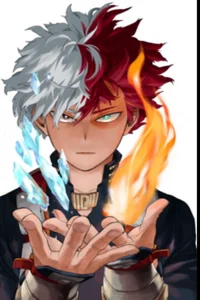 Shoto Todoroki