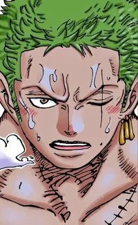 Roronoa Zoro