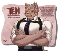Ten-FURRY