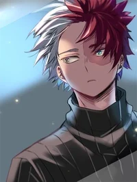 Shoto Todoroki