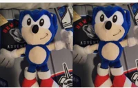 Sonic and sonica prp