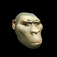 Monkey man