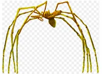 Mohter longlegs 