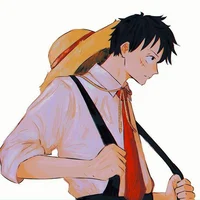 School Luffy