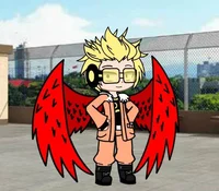 Hawks AU 