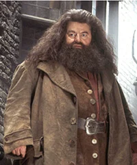 Rubius Hagrid 