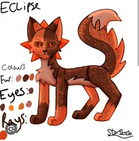 Forest cat eclipse