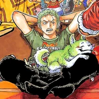 delinquent Zoro