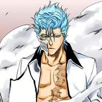 Grimmjow 