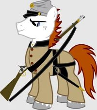 Confederate pony 