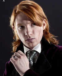 Bill Weasley 