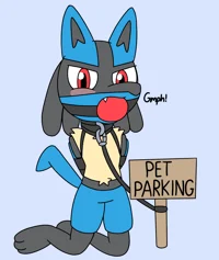 Lucario Leashed