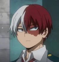 Todoroki shoto 