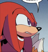 Knuckles -  Echidna