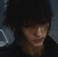 Noctis Lucis Caelum