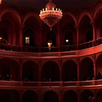 The Auction