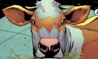 Batcow
