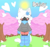 Daisy