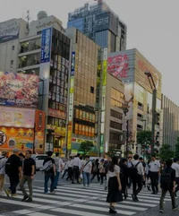 Furry Transfurmation