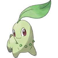 Chikorita