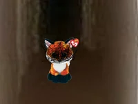 Beanie boo